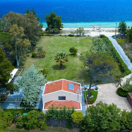 Villa Tiamo Secrets - Palm Garden Vourvourou Exterior foto